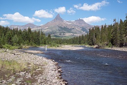 For the Best Yellowstone Vacation, Start in Cody 2