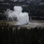 Top 11 Things To See In Yellowstone National Park