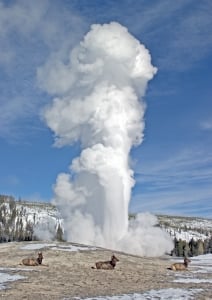 Geyser at Yellowstone