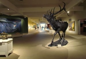A statue of an elk in the Whitney Western Art Museum