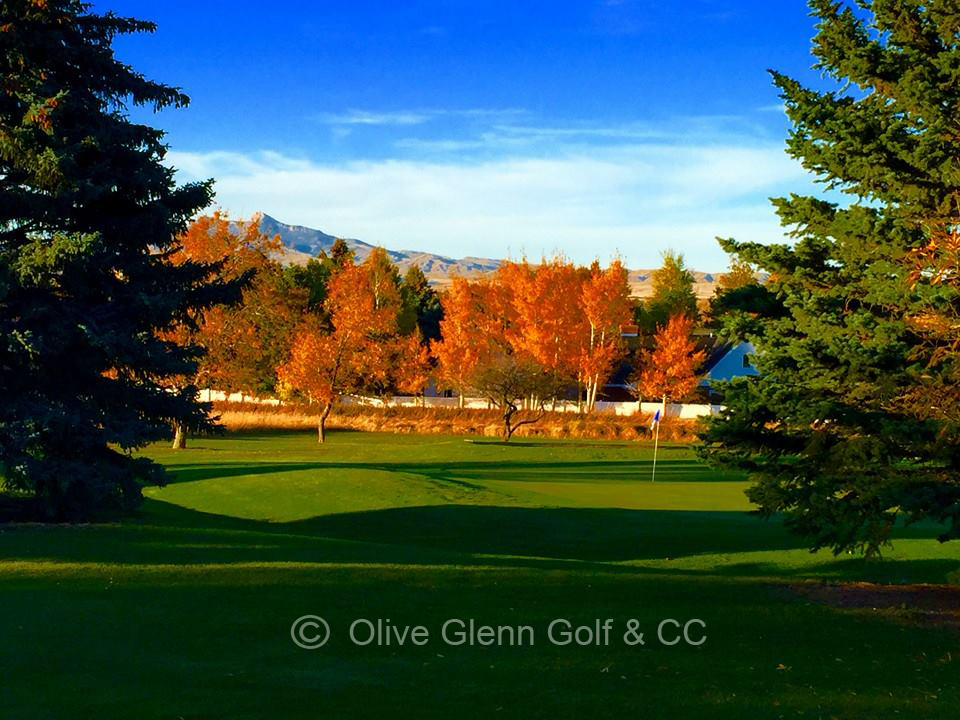 Olive Glenn Golf and Country Club