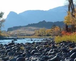 Fall Arrives Soon in Cody Yellowstone; Here’s How to Enjoy It