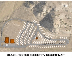 Black-Footed Ferret RV Resort