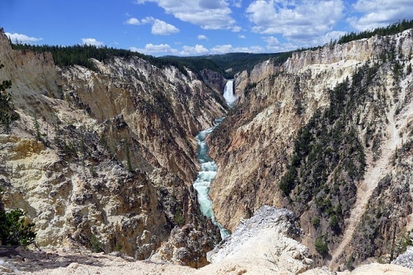 What’s New and Notable in Cody Yellowstone in 2022