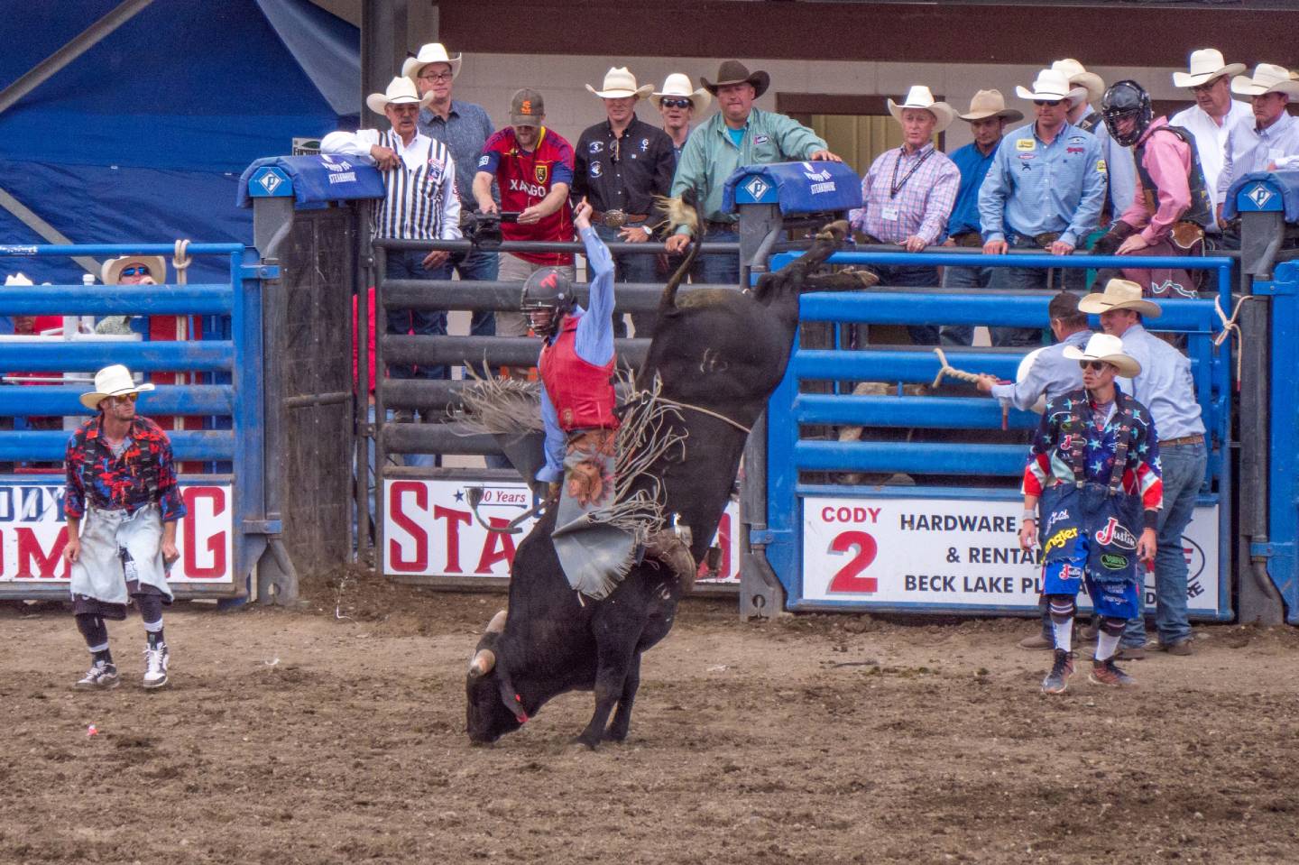A bullrider at the Cody Nite Rodeo