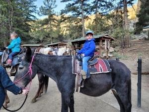 Kid Tested, Parent Approved Adventures for Every Child in Cody Yellowstone