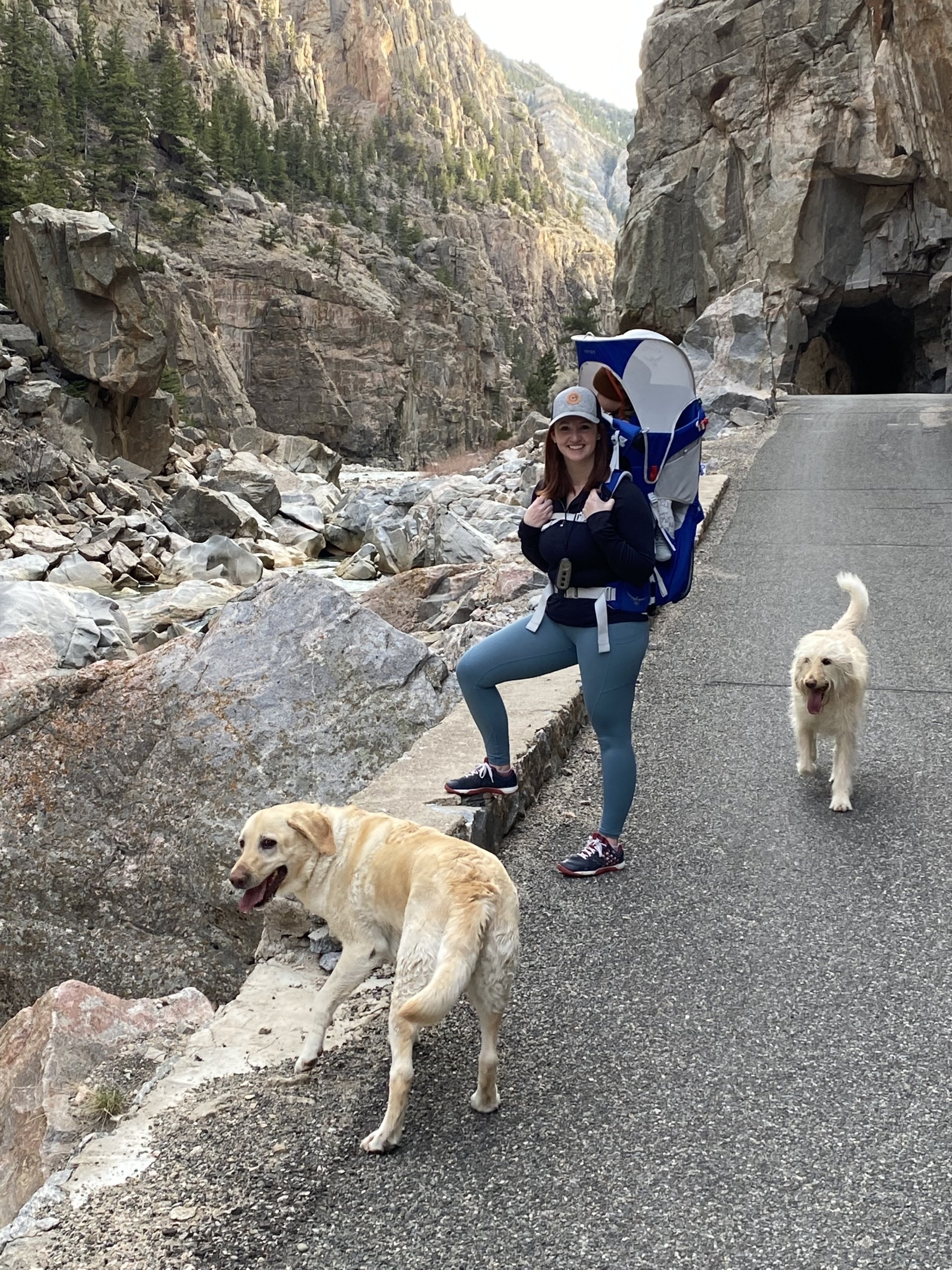 A woman and her dogs hike in Cody Yellowstone