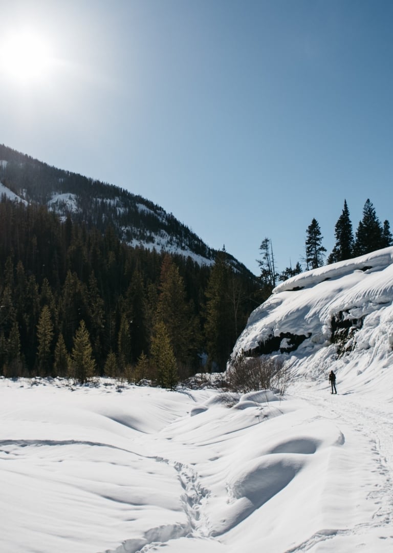 a group of cross country skiers skiing on a trail