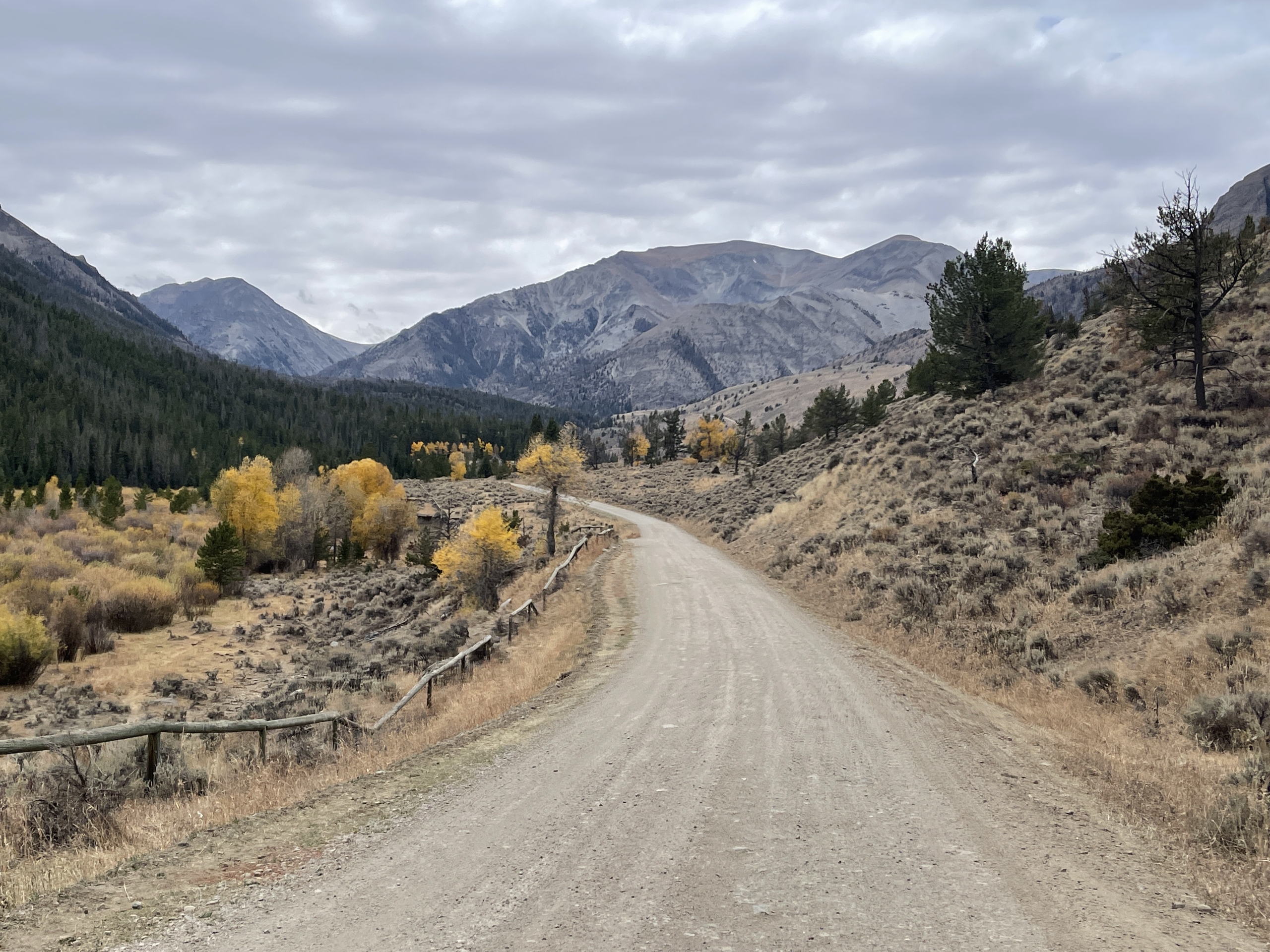 Road in Meeteetse Kirwin