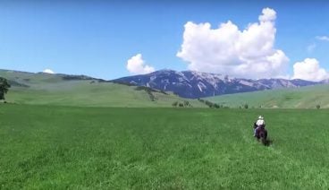 A cowboy riding a horse through a green field towards the mountains