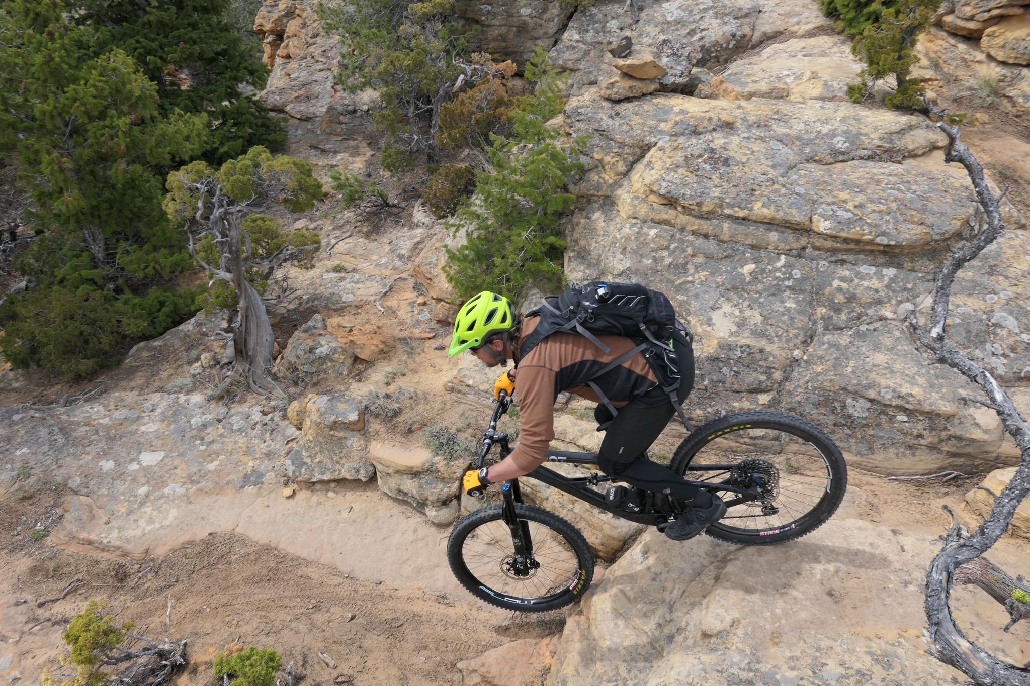 A man mountain biking in Cody Yellowstone