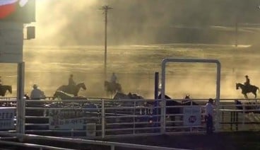 Cowboys on their horses during the rodeo