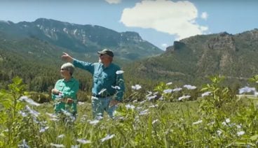 A man and woman in a field of flowers within the mountains