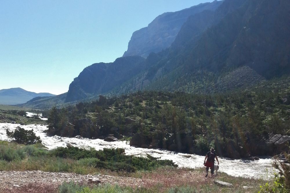 A man and dog on a hike in the mountains