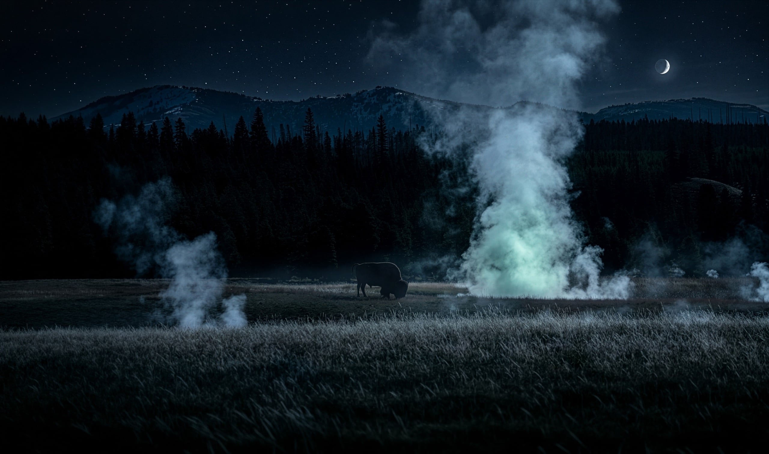 A bison grazes beside a steaming geyser under a moonlit Yellowstone sky