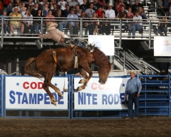 Cody Nite Rodeo 1
