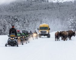 Yellowstone National Park - Snowmobiling