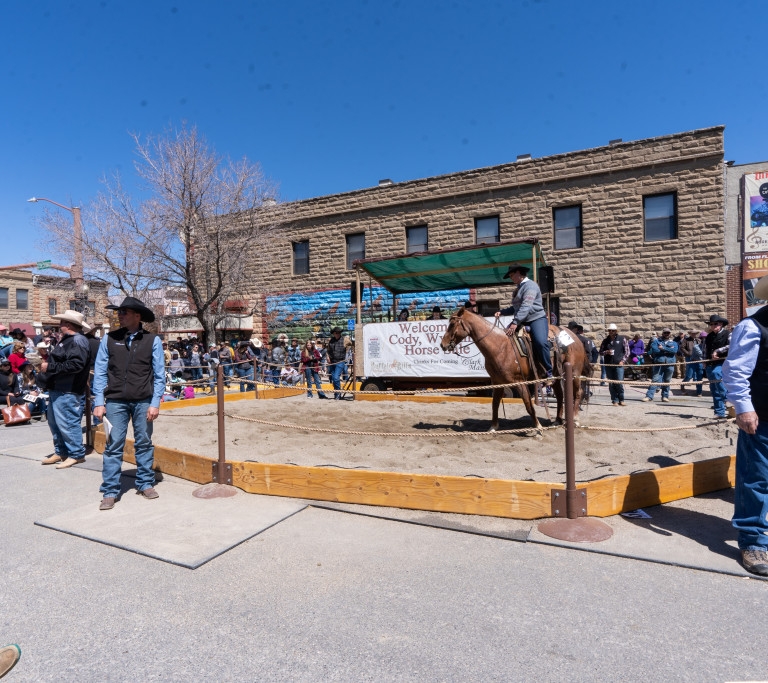 Cowboys and spectators looking at horses