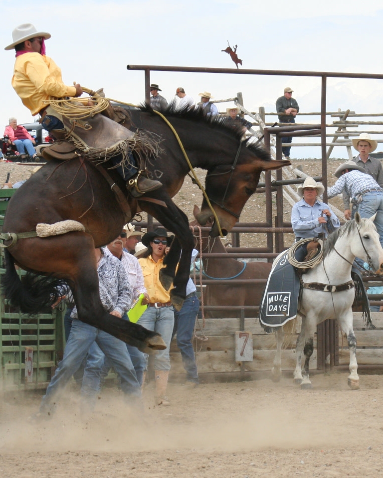 A man being bucked by a horse during a rodeo