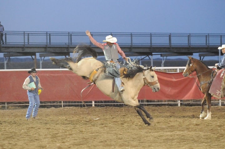 A man riding a horse during the rodeo