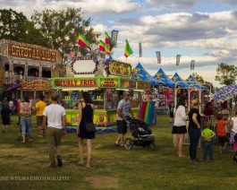 Park County Fair