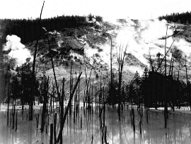 Yellowstone in Black and White