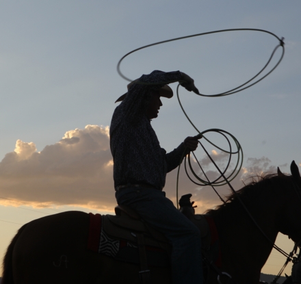 A cowboy throws a lasso while riding a horse