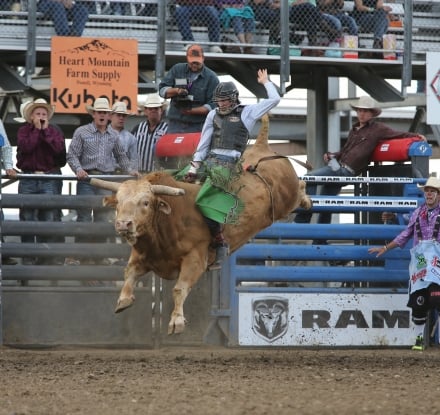 Cody/Yellowstone Xtreme Bulls