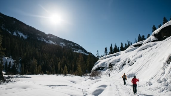People Cross Country ski on a sunny winter day in Cody Yellowstone.