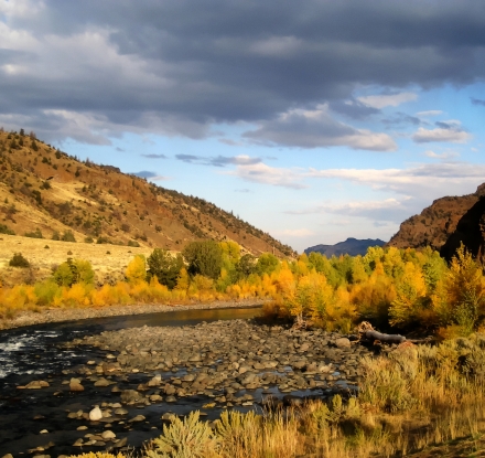Fall colors in North Fork Shoshone river, near Cody, Wyoming