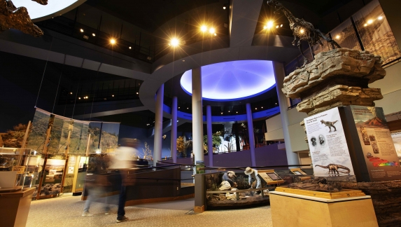 The interior of the Buffalo Bill Center in Cody, WY