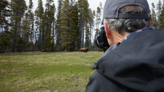 Man taking photograph of a bison in open field