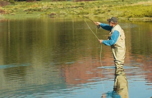 A man goes fly fishing in Cody Yellowstone